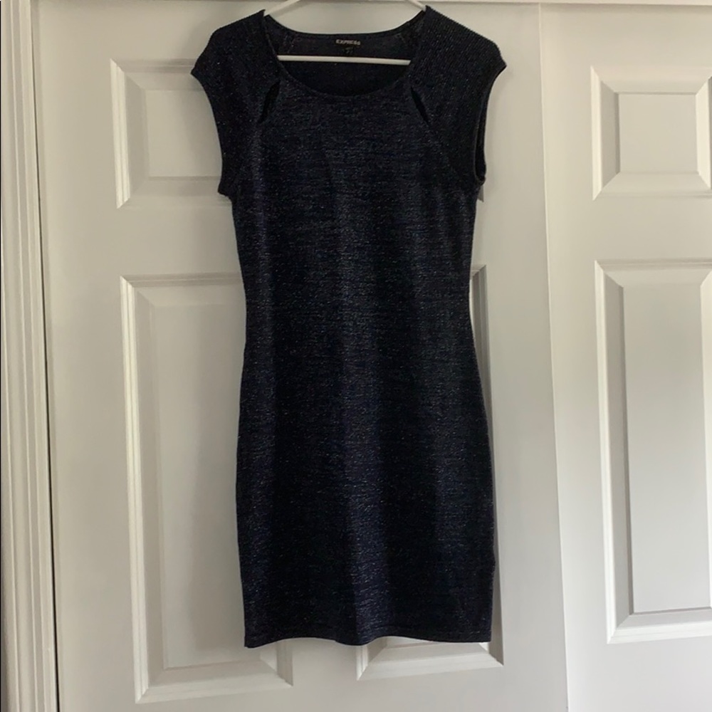 Express Navy Sparkly Dress
